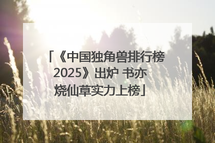 《中国独角兽排行榜2025》出炉 书亦烧仙草实力上榜