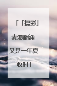「摄影」麦浪翻涌 又是一年夏收时