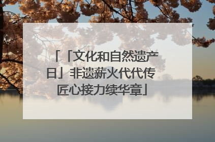 「文化和自然遗产日」非遗薪火代代传 匠心接力续华章