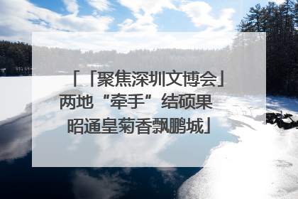 「聚焦深圳文博会」两地“牵手”结硕果 昭通皇菊香飘鹏城