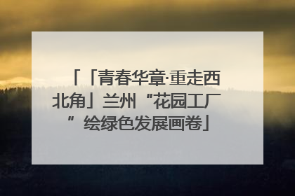 「青春华章·重走西北角」兰州“花园工厂”绘绿色发展画卷