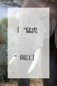 “猛虎”闹江