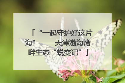 “一起守护好这片海”——天津渤海湾畔生态“蜕变记”