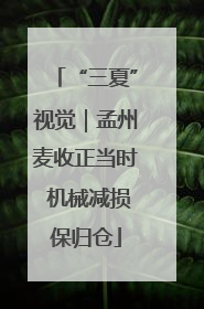 “三夏”视觉｜孟州麦收正当时 机械减损保归仓