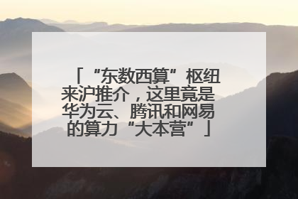 “东数西算”枢纽来沪推介，这里竟是华为云、腾讯和网易的算力“大本营”