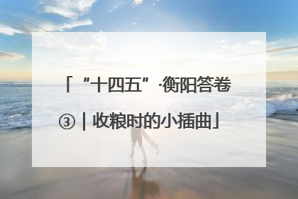 “十四五”·衡阳答卷③｜收粮时的小插曲