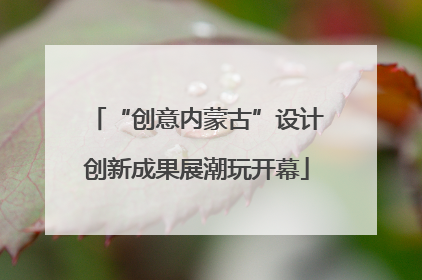 “创意内蒙古”设计创新成果展潮玩开幕