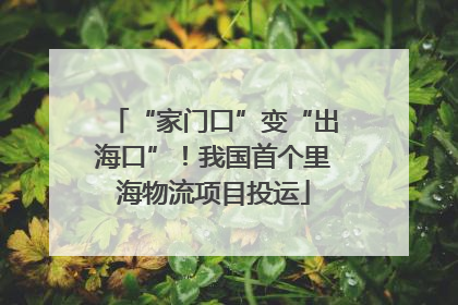 “家门口”变“出海口”！我国首个里海物流项目投运