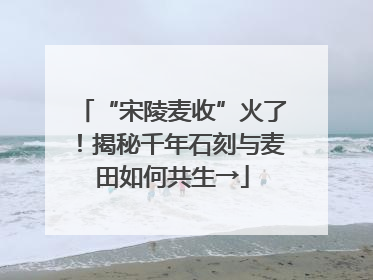 “宋陵麦收”火了！揭秘千年石刻与麦田如何共生→