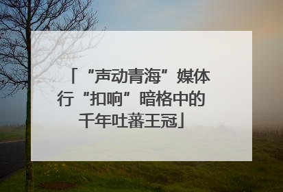 “声动青海”媒体行“扣响”暗格中的千年吐蕃王冠