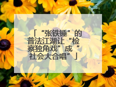 “张铁锤”的普法江湖让“检察独角戏”成“社会大合唱”