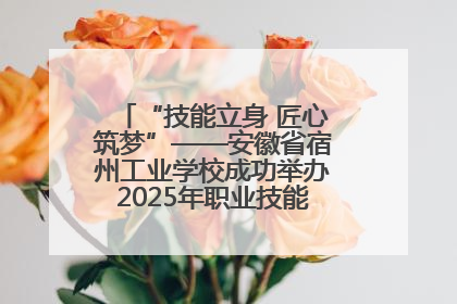 “技能立身 匠心筑梦”——安徽省宿州工业学校成功举办2025年职业技能活动周各项活动