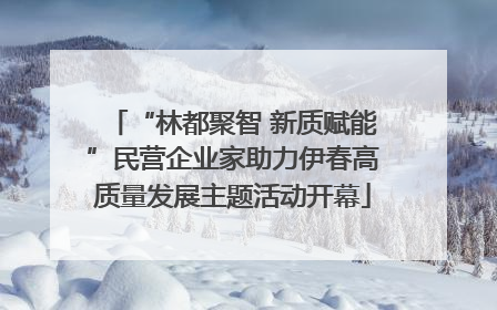 “林都聚智 新质赋能”民营企业家助力伊春高质量发展主题活动开幕