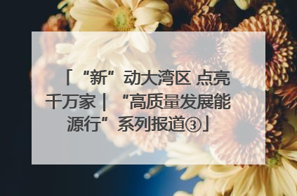 “新”动大湾区 点亮千万家｜“高质量发展能源行”系列报道③