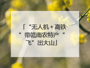 “无人机＋高铁”带赣南农特产“飞”出大山