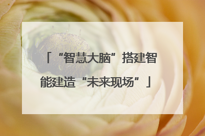 “智慧大脑”搭建智能建造“未来现场”