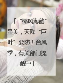 “椰风海韵”虽美，天降“巨叶”要防！台风季，有关部门提醒→