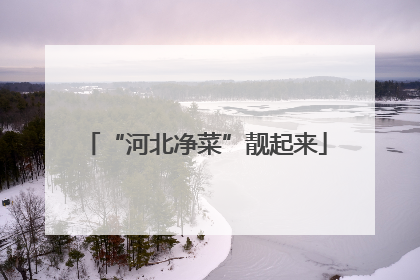 “河北净菜”靓起来