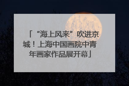 “海上风来”吹进京城！上海中国画院中青年画家作品展开幕