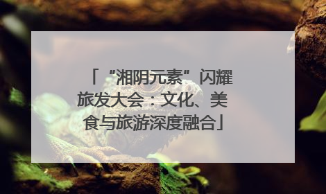 “湘阴元素”闪耀旅发大会：文化、美食与旅游深度融合