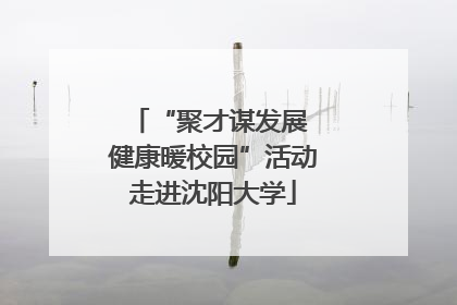 “聚才谋发展 健康暖校园”活动走进沈阳大学