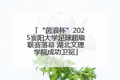 “茵浪杯”2025襄阳大学足球超级联赛落幕 湖北文理学院成功卫冕