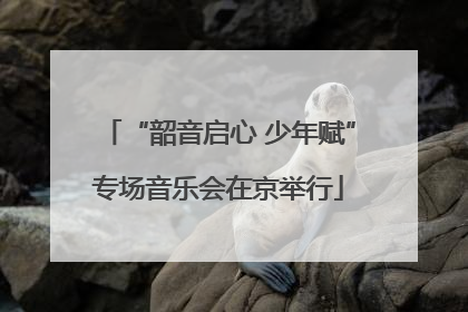 “韶音启心 少年赋”专场音乐会在京举行