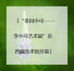 “非同小可——李小可艺术展”在西藏美术馆开幕