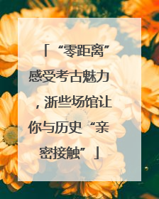 “零距离”感受考古魅力，浙些场馆让你与历史“亲密接触”