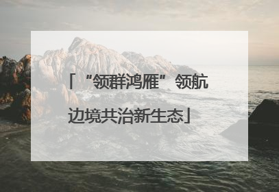 “领群鸿雁”领航边境共治新生态