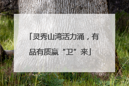 灵秀山湾活力涌，有品有质赢“卫”来