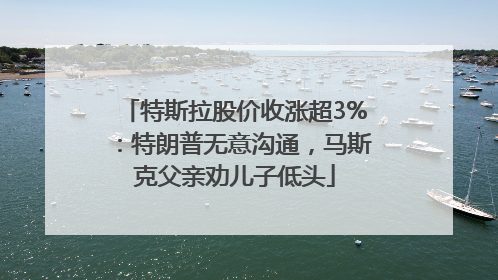 特斯拉股价收涨超3%：特朗普无意沟通，马斯克父亲劝儿子低头