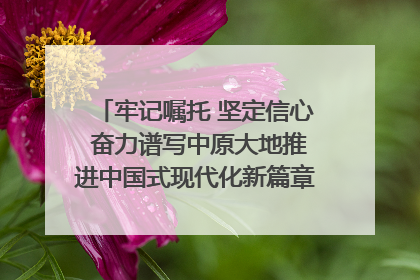 牢记嘱托 坚定信心 奋力谱写中原大地推进中国式现代化新篇章（六）河南绘就“行走河南·读懂中国”新画卷丨牢记嘱托谱新篇