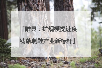 睢县：扩规模提速度 铸就制鞋产业新标杆