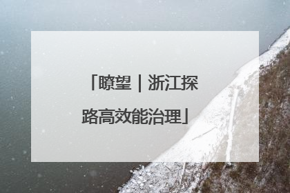 瞭望｜浙江探路高效能治理