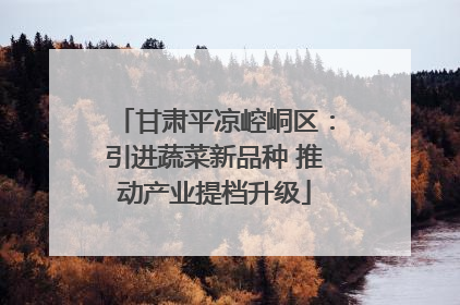 甘肃平凉崆峒区：引进蔬菜新品种 推动产业提档升级