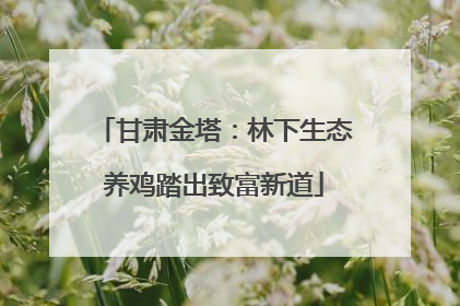 甘肃金塔：林下生态养鸡踏出致富新道