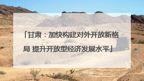 甘肃：加快构建对外开放新格局 提升开放型经济发展水平