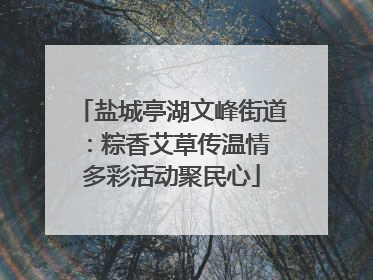 盐城亭湖文峰街道：粽香艾草传温情 多彩活动聚民心