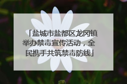 盐城市盐都区龙冈镇举办禁毒宣传活动，全民携手共筑禁毒防线