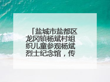 盐城市盐都区龙冈镇杨斌村组织儿童参观杨斌烈士纪念馆，传承红色基因