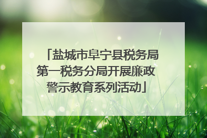 盐城市阜宁县税务局第一税务分局开展廉政警示教育系列活动