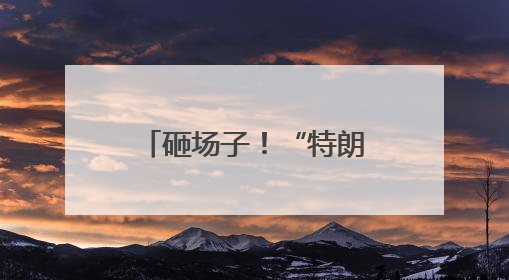 砸场子！“特朗普币晚宴”外聚集上百位抗议者 高喊“可耻”