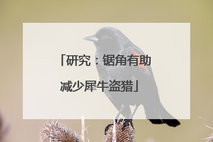研究：锯角有助减少犀牛盗猎