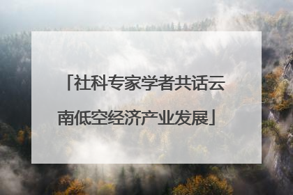 社科专家学者共话云南低空经济产业发展