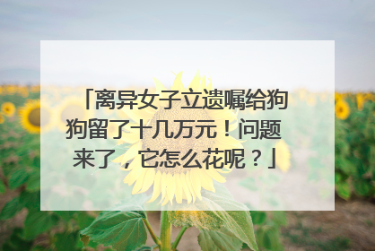 离异女子立遗嘱给狗狗留了十几万元！问题来了，它怎么花呢？