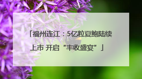 福州连江：5亿粒夏鲍陆续上市 开启“丰收盛宴”