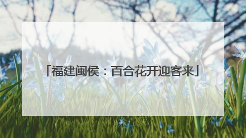 福建闽侯：百合花开迎客来