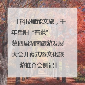 科技赋能文旅，千年岳阳“有范”——第四届湖南旅游发展大会开幕式暨文化旅游推介会侧记
