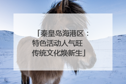 秦皇岛海港区：特色活动人气旺 传统文化焕新生